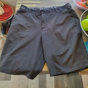 Nike Flex Shorts